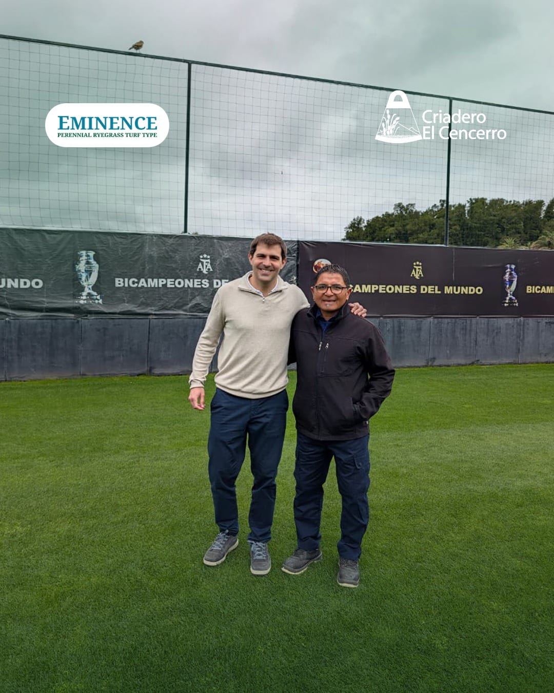 Eminence en las canchas de la AFA: genética argentina para césped deportivo